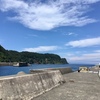 夏港、色濃く映えて（昼間の岡田港桟橋）