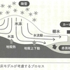 南極の氷に何がおきているか③ 棚氷の役目