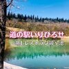 【池に映る桜の名所】道の駅いりひろせ「湖上レストラン鏡ヶ池」で美味しい山菜そばを食べました！