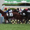 指名馬情報:牡馬第7位