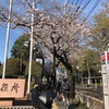 市役所に行った。