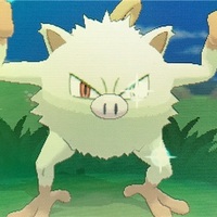 ポケモンxy フレンドサファリで色違いシザリガーをゲット つくたろうのブログ