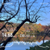 練習ログ　11/24-12/1