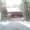 寒中の椿大神社