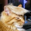 どの国も同じじゃん (￣0￣)