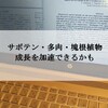 【知らないともったいない】サボテン・多肉植物・塊根植物の成長を加速させる方法