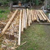 薪割り小屋兼薪小屋を建てた時の様子(1)　Construction of the wood  splitting hut and woodshed