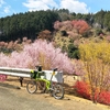 鉢形城公園〜花桃の郷〜桃源郷〜松郷峠〜笛吹峠〜森林公園ぶらり旅