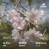休日日記35　4/19　扇風機出しました。コタツはしまってません。