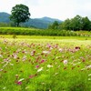 初秋の開田高原