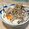 立喰そばうどん　豊はる　その二十九　〜肉そば・肉南蛮そばを極めてみる　その九十八〜