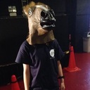 なつみ…いや、ドラゴンのブログ