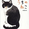 【絵本/感想】高橋和枝「うちのねこ」ー元ノラの大人の猫がやってきた。でも、着いた途端にソファの下に隠れて出てこない！