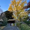 【戸定邸　戸定が丘歴史公園】　富士見の丘と紅葉を楽しむ秋　