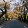 公営墓地は安い？（都営霊園・普通のお墓編）