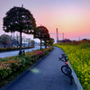 3月9日は自転車に乗って