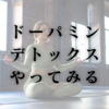 【雑記】ドーパミンデトックスやってみる