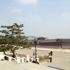 景福宮(Gyeongbokgung)+国立古宮博物館(National Palace Museum of Korea)