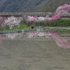 田に水も入り、美しい春の景色：高梁市入江