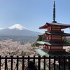 桜満開🌸静岡　初ロングツーリング