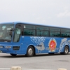 沖縄バス / 沖縄22き ・600