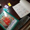 小学1年生、学習机で何して遊ぶ？ローテーブル、ダイニングテーブルとの違い