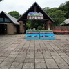 金沢動物園、園内ご紹介！コアラも可愛いです❤