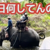 【パタヤ沈没12年】毎日何して過ごしてんの？　　パタヤ ジョムティエンビーチから
