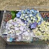 やっと賞与…このためだけに耐え忍んでいる