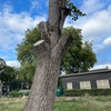 学校開始とジムで在宅勤務