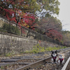 京都