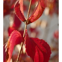 秋風が心地よい