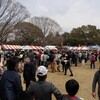 広見公園に桜祭りに行き