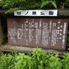 田ノ原湿原【長野県　志賀高原】～雨でも歩ける天然記念物の湿原～【2020年7月】
