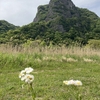 火山の根「城山」