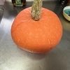 自分で育てた金山カボチャを頂きました～！