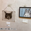 猫チュードク展終わりました