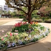 可愛い感じの春🌷