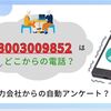 【会社名不明】08003009852の詳細情報。電力安心サポートの自動音声アンケート