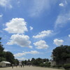 名古屋城から名城公園、変化は常に