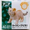 【アニア】ライオン（子ども） AC-01