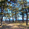 野島公園散策！