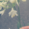 雨の間隙に
