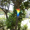 「光と水に遊ぶ──虹のワークショップ」 in 江名中学校