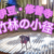 ❝伊豆・伊豆市　竹林の小径ライトアップ✨❞　愛犬とおでかけ-静岡県観光🎵2024年2月9日⑤