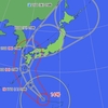 🌀夜だるま台風情報❗