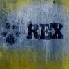 マルコ＆レックス～ローマ警察シェパード犬刑事〜Il commissario Rex☆Season2   Ep.List 