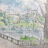 【素人水彩画】公園の池