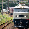 2024/06/16 1063レ EF510 308号機