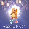 ポケモンの進化と子の成長